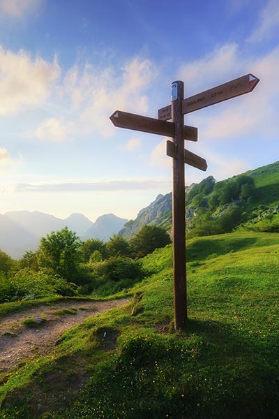 wegweiser-start Onlincoaching